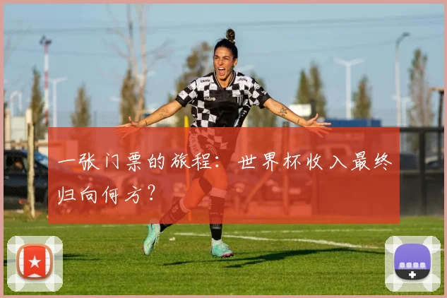 一张门票的旅程:世界杯收入最终归向何方?