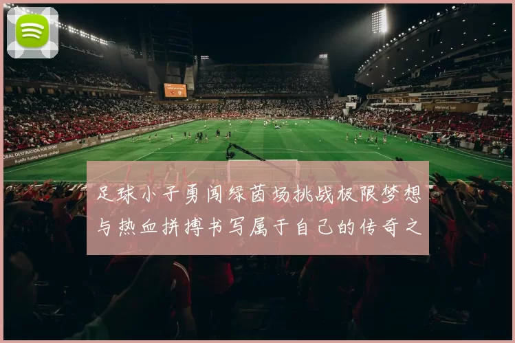 足球小子勇闯绿茵场挑战极限梦想与热血拼搏书写属于自己的传奇之路