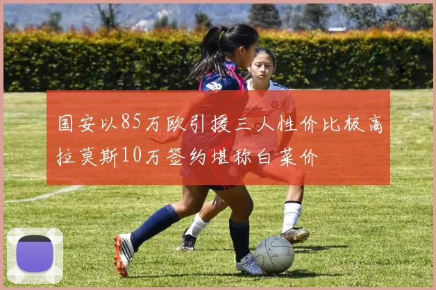 国安以85万欧引援三人性价比极高拉莫斯10万签约堪称白菜价
