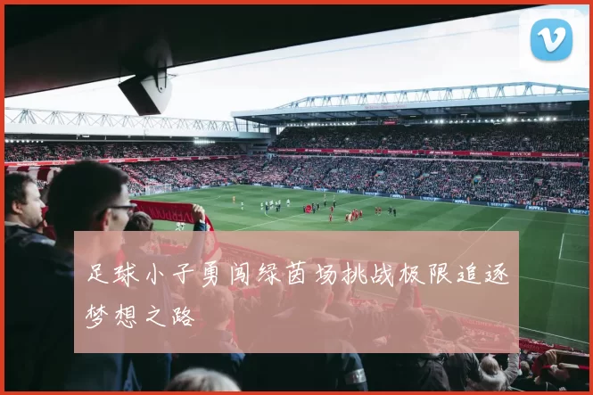 足球小子勇闯绿茵场挑战极限追逐梦想之路