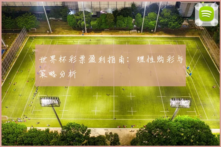 世界杯彩票盈利指南:理性购彩与策略分析