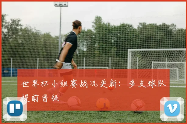 世界杯小组赛战况更新：多支球队提前晋级