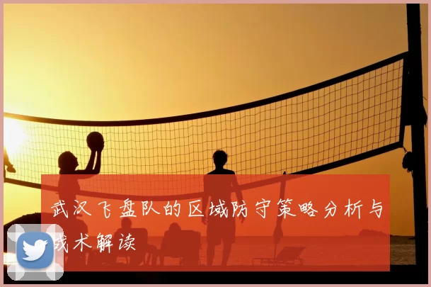 武汉飞盘队的区域防守策略分析与战术解读