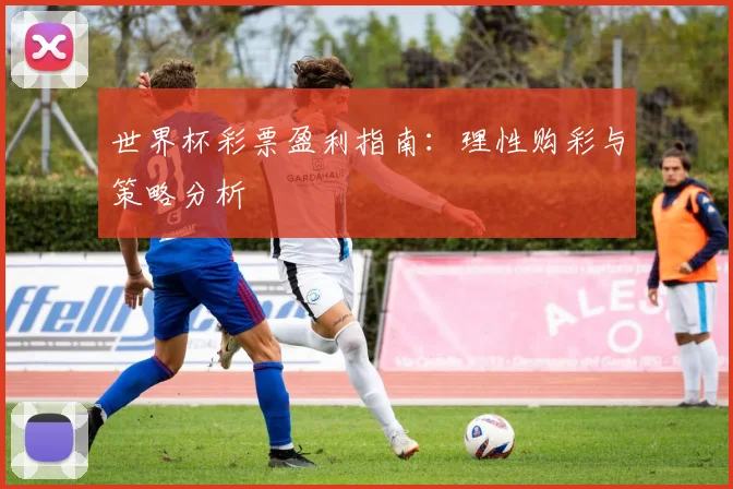 世界杯彩票盈利指南：理性购彩与策略分析