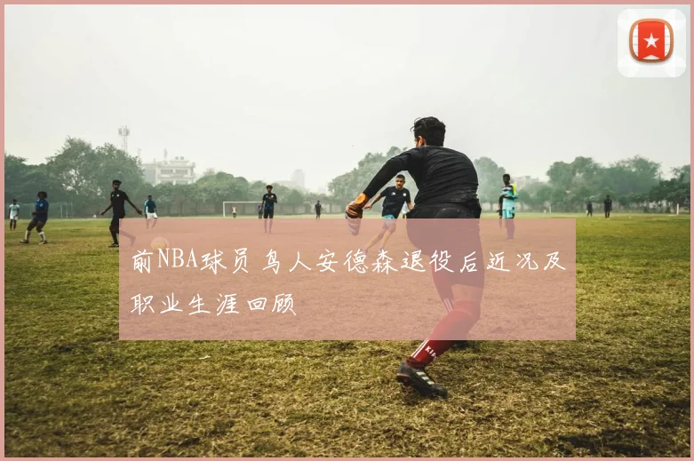 前NBA球员鸟人安德森退役后近况及职业生涯回顾