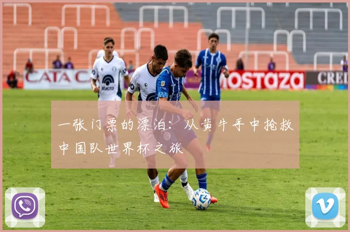 一张门票的漂泊:从黄牛手中抢救中国队世界杯之旅