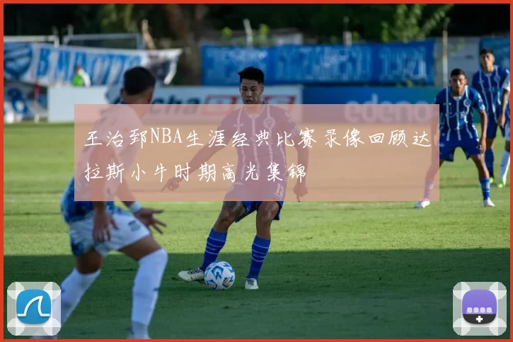 王治郅NBA生涯经典比赛录像回顾达拉斯小牛时期高光集锦