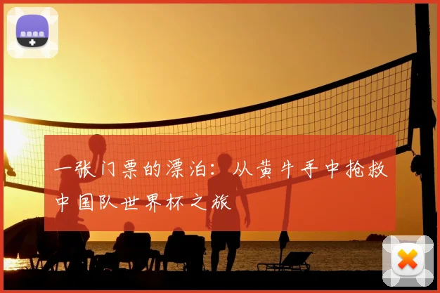 一张门票的漂泊:从黄牛手中抢救中国队世界杯之旅
