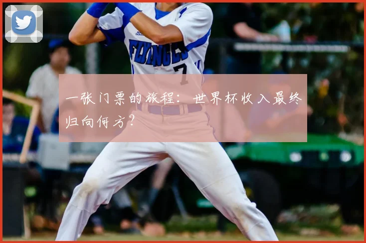 一张门票的旅程:世界杯收入最终归向何方?