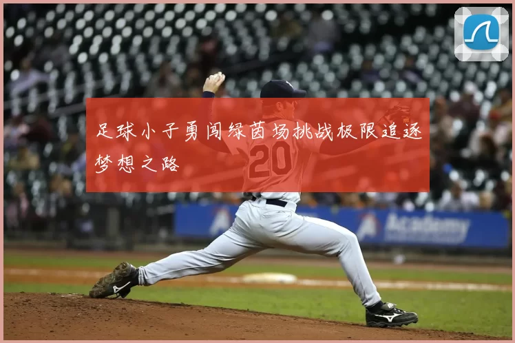 足球小子勇闯绿茵场挑战极限追逐梦想之路