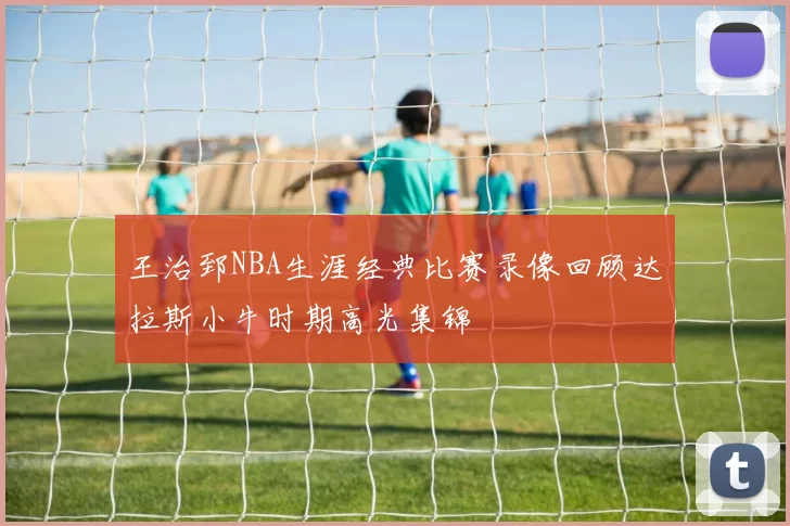 王治郅NBA生涯经典比赛录像回顾达拉斯小牛时期高光集锦