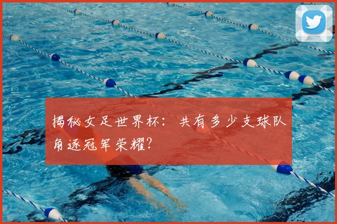 揭秘女足世界杯:共有多少支球队角逐冠军荣耀?