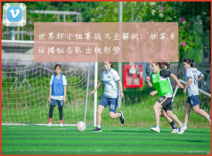 世界杯小组赛战况全解析:独家专访揭秘各队出线形势