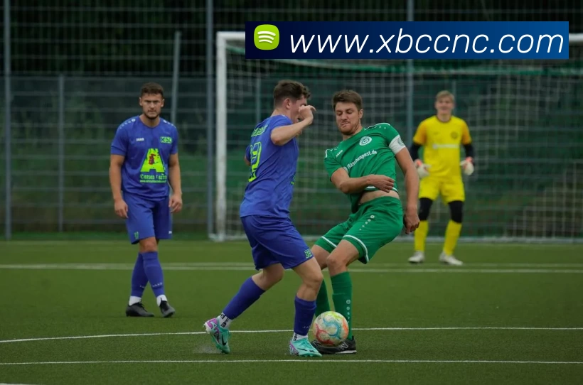 hth华体网页版登录入口发展历程