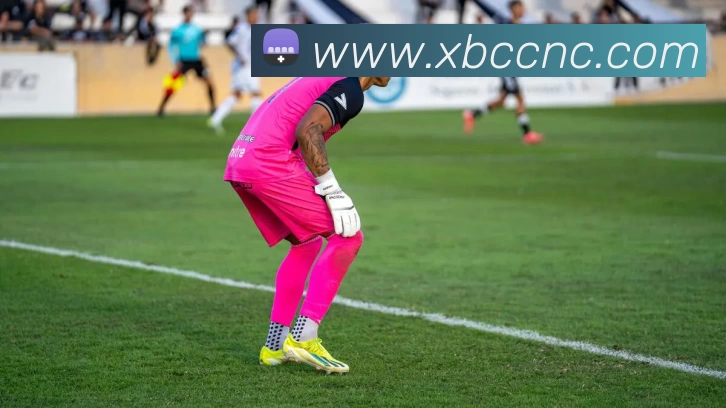 波德戈里对决亚高斯篮球巅峰较量前瞻与赛况解析及球队实力全面展望